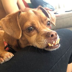 Meet your Posher, Erin